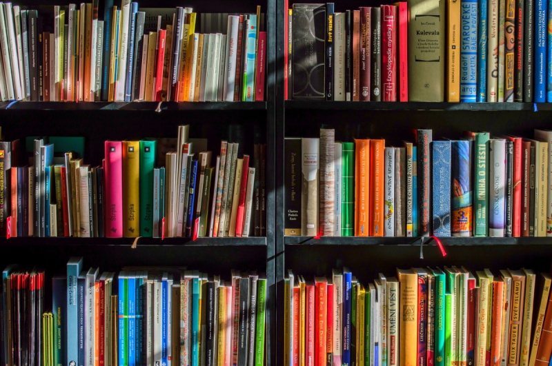 vitrine-ST PAUL EN FORET-min_books_bookstore_book_reading_shop_writer_sale_books_read-822866