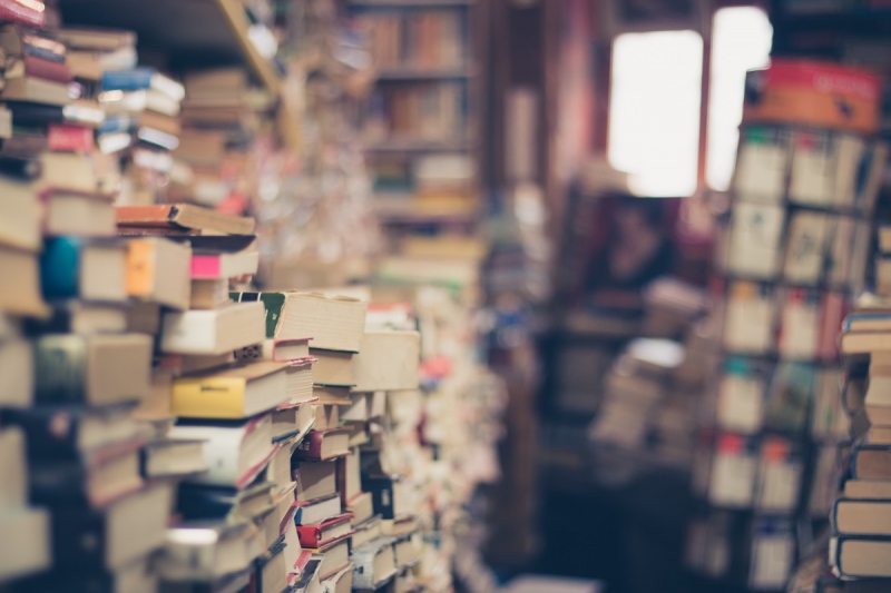 vitrine-ST PAUL EN FORET-min_books_stack_book_store_stack_of_books_2nd_hand_retro_hipster_shop-829090